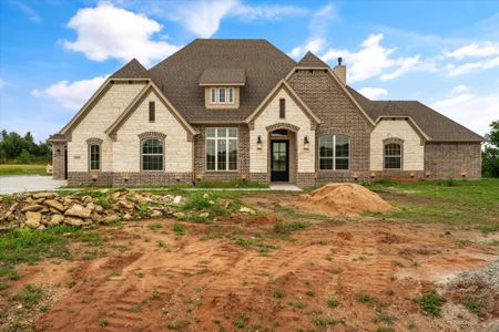 Panther Creek Ranch by Premier Homes Inc. in Aledo - photo 4