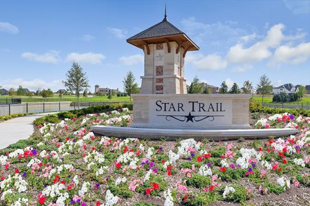 Star Trail by Coventry Homes in Prosper - photo 4