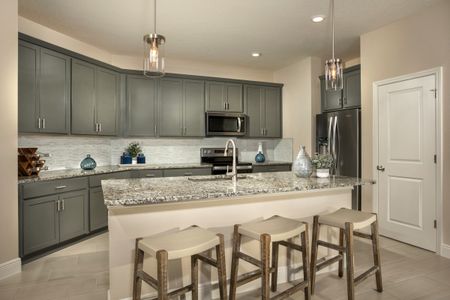 Sanctuary Ridge by KB Home in Wesley Chapel - photo 16 16