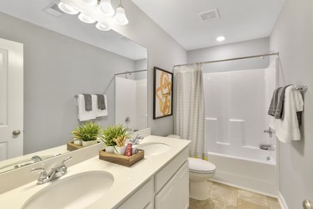 Petterson Meadows by Mungo Homes in Summerville - photo 84 84