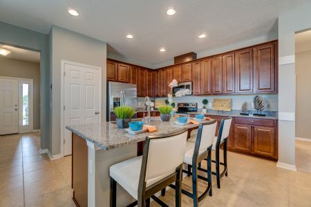 Epperson by M/I Homes in Wesley Chapel - photo 34 34