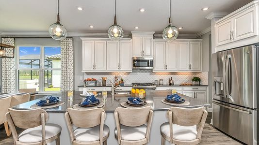 Esplanade at Wiregrass Ranch by Taylor Morrison in Wesley Chapel - photo 53 53