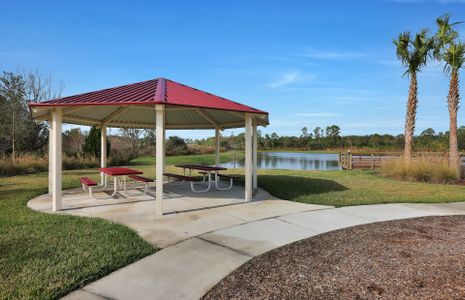 The Preserve at Bannon Lakes by Pulte Homes in Saint Augustine - photo 3 3