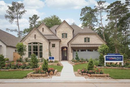 Pine Trails by David Weekley Homes in Tomball - photo 9 9