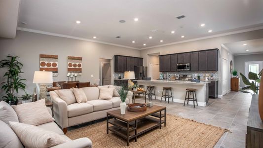 Village Park by Maronda Homes in Green Cove Springs - photo 20 20