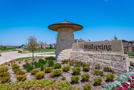 Wellspring Estates by Grand Homes in Celina - photo 4 4