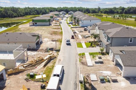 K-Bar Ranch Gilded Woods by M/I Homes in Tampa - photo 2 2