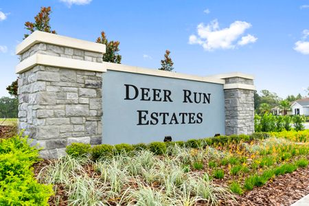 Deer Run Estates by KB Home in Saint Cloud - photo 1 1