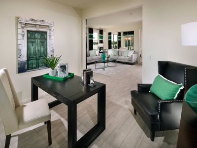 The Preserve at Province II by Meritage Homes in Maricopa - photo 16 16