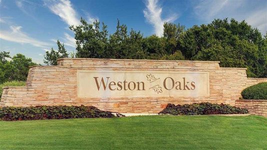 Weston Oaks by Highland Homes in San Antonio - photo