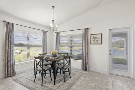 Grand Oak Preserve by Adams Homes in Parrish - photo 20 20