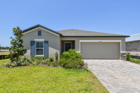 Hilltop Point by M/I Homes in Dade City - photo 12 12