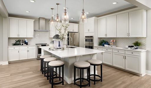 Mead at Southshore by Richmond American Homes in Aurora - photo 40 40