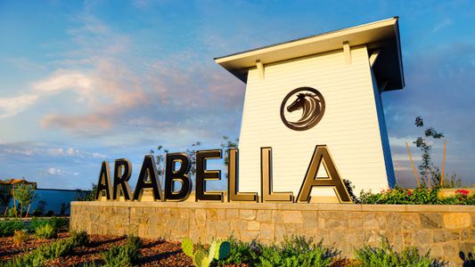 Arabella by D.R. Horton in Scottsdale - photo 6 6