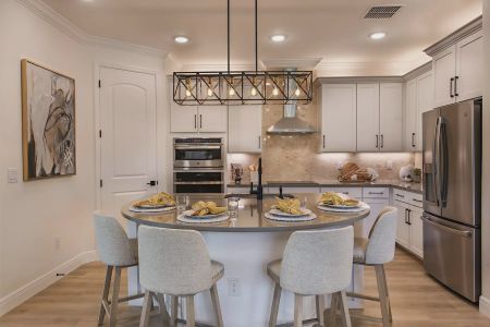 Rose Haven by Vitale Homes in New Port Richey - photo 10 10