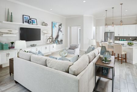 Marisol Pointe at MiraBay Florida Series by Park Square Residential in Apollo Beach - photo 16