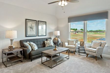 Triple Diamond Ranch by Bloomfield Homes in Mansfield - photo 25