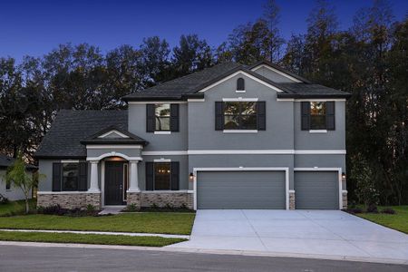 La Paloma in the Villages at Cypress Creek by William Ryan Homes in Spring Hill - photo