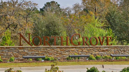 NorthGrove 65' by Perry Homes in Magnolia - photo