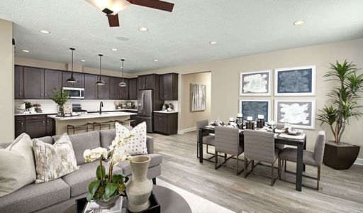 Seasons at Entrada Del Oro II by Richmond American Homes in Gold Canyon - photo 30 30