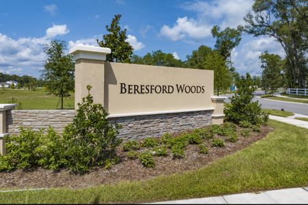 Beresford Woods by Landsea Homes in Deland - photo 0 0