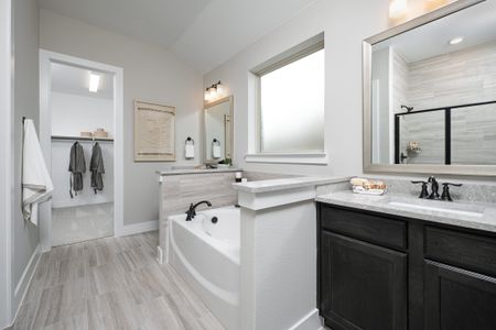 Discovery Collection at BridgeWater by Tri Pointe Homes in Midlothian - photo 30 30