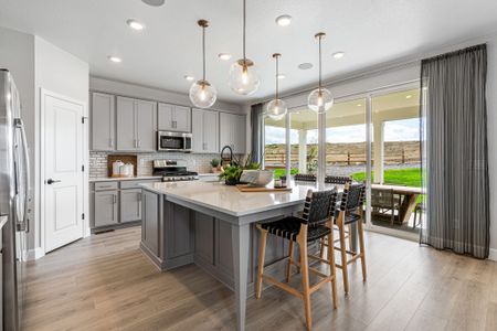 Trailstone Town Collection by Taylor Morrison in Arvada - photo 82 82