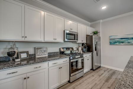Petterson Meadows by Mungo Homes in Summerville - photo 96 96