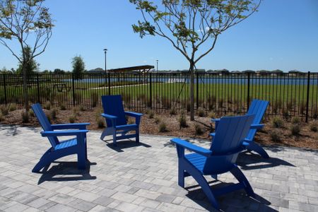 Summerdale Park at Lake Nona by Dream Finders Homes in Orlando - photo 3