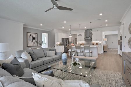 Seaire by Dream Finders Homes in Parrish - photo 82 82