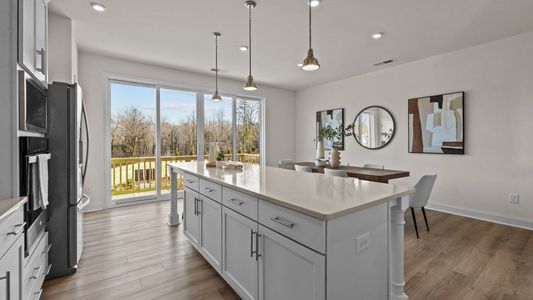Towns at Alexander Providence by DRB Homes in Charlotte - photo 21 21