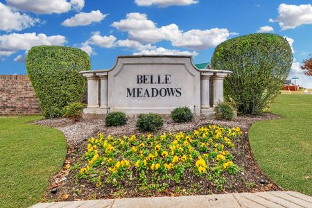 Belle Meadows by Landsea Homes in Cleburne - photo