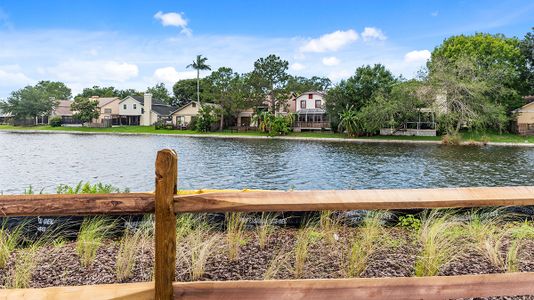 The Towns At Spring Lake by Gulfwind Homes in Clearwater - photo 6 6