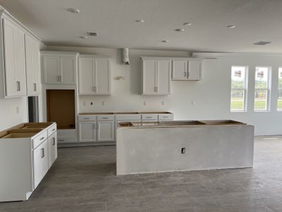 Pearl Estates by Lennar in Lutz - photo 20 20