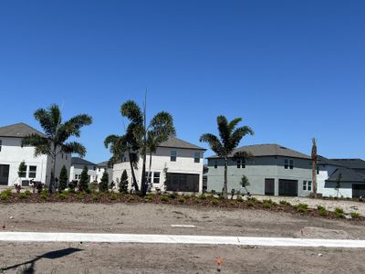 Stonegate Preserve: The Manors by Lennar in Palmetto - photo 4 4