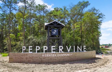 Peppervine by Centex in Porter - photo 0 0