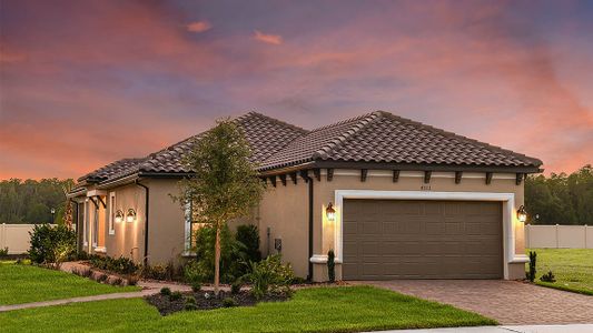 Esplanade at Wiregrass Ranch by Taylor Morrison in Wesley Chapel - photo 156 156
