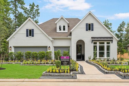 The Woodlands Hills 60’ by David Weekley Homes in Willis - photo 8 8