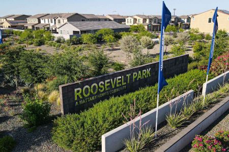 Roosevelt Park by Mattamy Homes in Avondale - photo