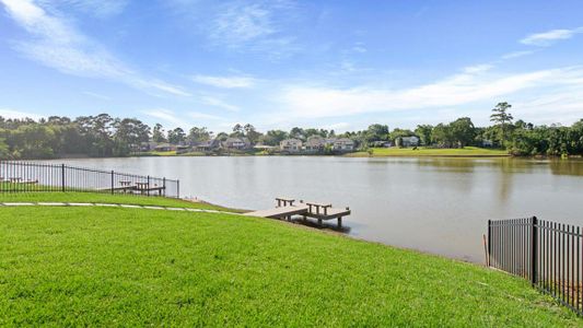 Hills of Westlake by D.R. Horton in Conroe - photo 101 101