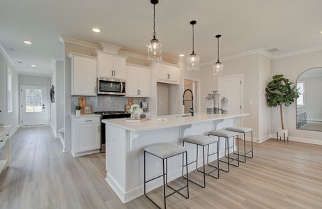 Winsome Park by Traton Homes in Woodstock - photo 6 6