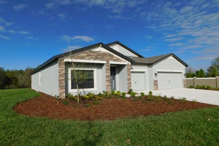 Epperson by M/I Homes in Wesley Chapel - photo 30 30