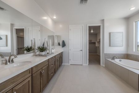 The Grove at El Cidro by William Ryan Homes in Goodyear - photo 109 109