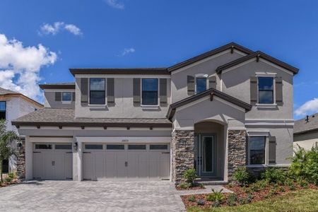 Triple Creek  by Homes by WestBay in Riverview - photo 11