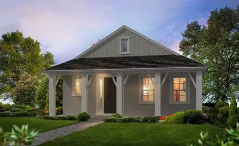 Persimmon Park by ICI Homes in Wesley Chapel - photo 5 5