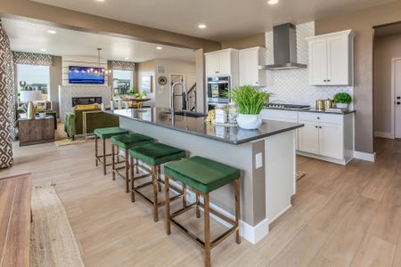 Mosaic Story Collection - Single Family Homes by Hartford Homes in Fort Collins - photo 24 24