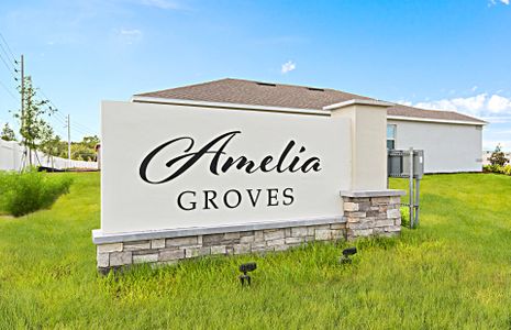 Amelia Groves by Pulte Homes in Saint Cloud - photo 30 30