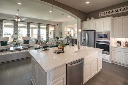 Hallie's Cove by Highland Homes in Cibolo - photo 7 7