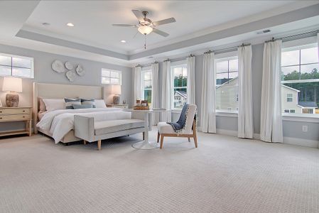 Hewing Farms by Mungo Homes in Summerville - photo 77 77