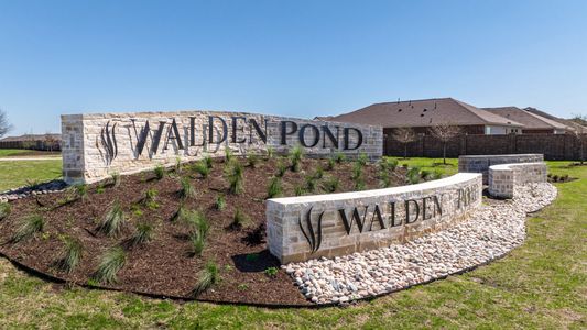 Walden Pond West by Pacesetter Homes in Forney - photo 19 19
